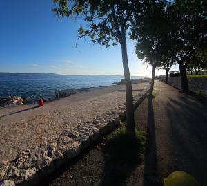 Naturlandskabet i nærheden af lejligheden