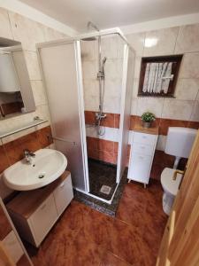 a bathroom with a shower and a sink and a toilet at Holiday House - Hidden in Velebit in Senj +36 photos