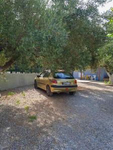 Vonkajšia záhrada v ubytovaní Κυανή Ακτή - Agia Paraskevi