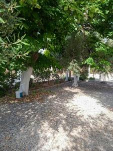 Vonkajšia záhrada v ubytovaní Κυανή Ακτή - Agia Paraskevi