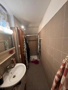 a small bathroom with a sink and a shower at Casa indipendente con terrazzo e posto auto in Cademario