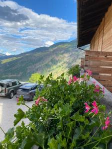 a bush with pink flowers in front of a house at Hotel Almhof in San Candido