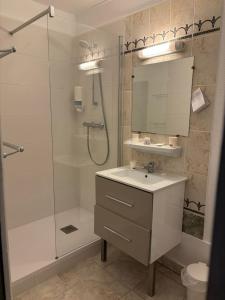 a bathroom with a shower and a sink and a mirror at Hotel Le Jacquemart in Dijon
