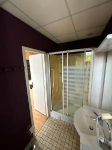 a bathroom with a shower and a toilet and a sink at Logis Hôtel & Restaurant Le Parcey in Parcey
