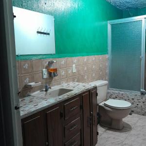 グアテマラシティにあるHotel el Mesón, Guatemalaのトイレ、洗面台、鏡を備えたバスルーム