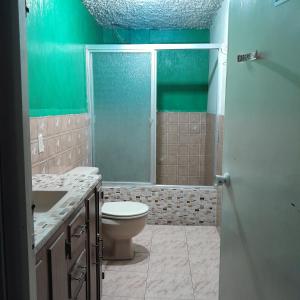 グアテマラシティにあるHotel el Mesón, Guatemalaのトイレとシャワー付きのバスルーム +46枚の写真
