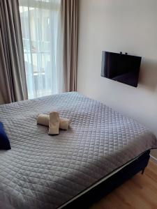 Ένα ή περισσότερα κρεβάτια σε δωμάτιο στο Apartament Grey 52, 3 min od plaży, basen, plac zabaw, darmowy parking! +21 φωτογραφίες