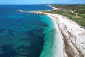 an aerial view of a beach and the ocean at Seaview in Torre Grande