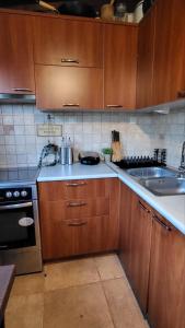 a kitchen with wooden cabinets and a sink at Koti Mountain House in Litochoro