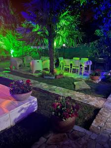 a garden with chairs and a palm tree at night at Villa Onuk in Sapanca