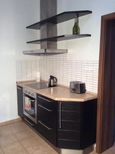 a kitchen with a stove and a sink with a microwave at Apartment Sirius C in center of CB. in České Budějovice