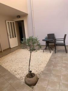 アルゴストリオンにあるStudio Luciaの中庭の鉢植え小木