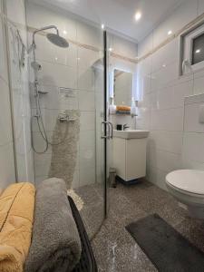 a bathroom with a shower and a toilet at Apartments PUPA in Povljana