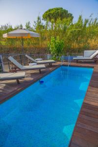 a swimming pool with chairs and an umbrella at Ammira Mare Apartment in Agia Pelagia