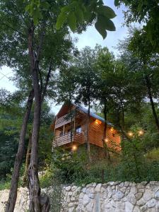 Příroda nedaleko luxury tent