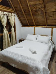 Postel nebo postele na pokoji v ubytování Villa Ester Hostel Vereda Cay