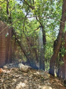 Ảnh trong thư viện ảnh của Doma ở Savyon +11 ảnh