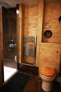 a bathroom with a shower with a toilet and a shower at High Barn in Thursley +14 photos