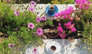 Photo de la galerie de l'établissement TAŞKONAK, à Bergama