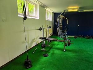 Fitness centrum a/nebo fitness zařízení v ubytování Nature Shelter Hotel