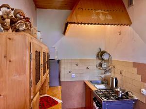 a small kitchen with a stove and a sink at Turbacz pokoje gościnne in Ochotnica Górna