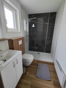 a bathroom with a toilet and a sink and a shower at Ferienwohnungen Lipnik am See in Sankt Kanzian