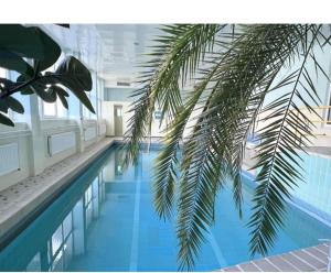 a view of a swimming pool with a palm tree at Traumblick FeWo mit Pool in Baiersbronn