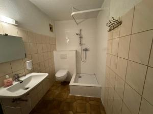 a bathroom with a sink and a shower and a toilet at Interlaken saberana studio 11 in Interlaken