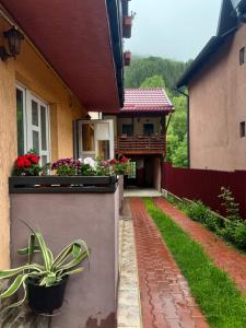 a house with flower boxes on the side of it at River Apartment in Sinaia