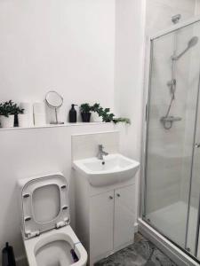 a bathroom with a toilet and a sink and a shower at Home away from Home in Burton upon Trent +3 photos
