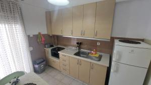 a small kitchen with a sink and a refrigerator at Makis Apartments Flogita in Flogita