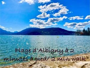 安锡Appartement ALBIGNY Centre Lac Annecy的一张湖泊与蓝天白云的照片