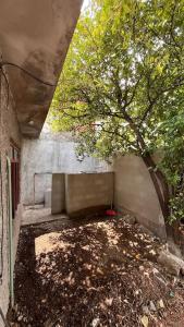 Κήπος έξω από το Casa moderna con patio y asador