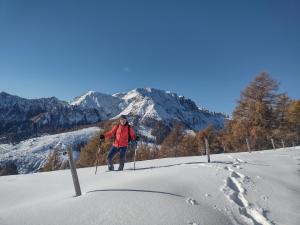 una persona en esquís en la nieve en una montaña en Chalet Ory, en Vigo di Fassa