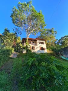 a house with a tree in the middle of a field at Camping Green house in Saquarema