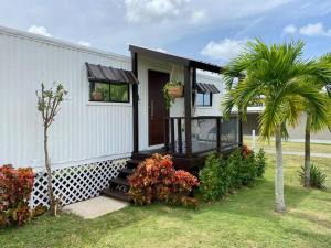 a small house with a porch and a palm tree at La Colina House in Santana
