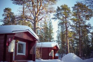 Crow Creek Cabins v zimě