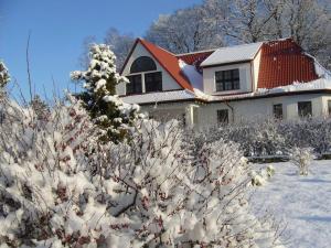a house covered in snow with a tree at Villa in Kr g near Knight's Castle in Pollnow