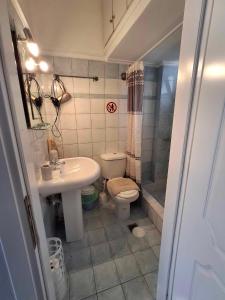 a small bathroom with a toilet and a sink at Anastasia's Apartment 2 in N&eacute;a P&eacute;ramos