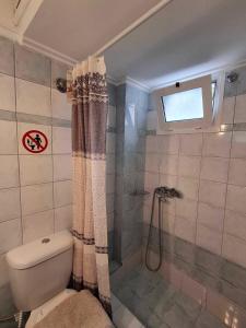 a bathroom with a toilet and a shower at Anastasia's Apartment 2 in N&eacute;a P&eacute;ramos