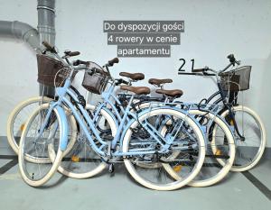 Jazda na bicykli v okolí ubytovania MorzeApartament