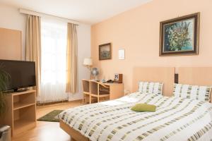 um quarto com uma cama e uma televisão de ecrã plano em Hotel am Friedrichsbad em Baden-Baden