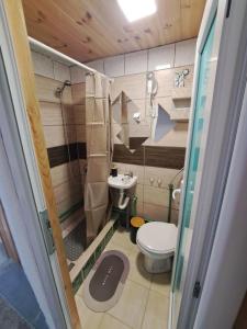 Kupatilo u objektu Apartman Aleksandra 2