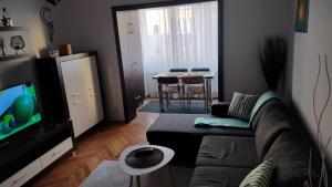 a living room with a couch and a tv at Nexus in Miercurea-Ciuc