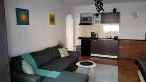 a living room with a couch and a kitchen at Nexus in Miercurea-Ciuc
