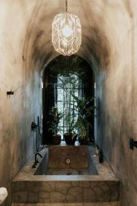 图卢姆Design Loft with private pool and SPA like feature的浴室设有水槽,内有盆栽植物