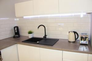 Kuchyň nebo kuchyňský kout v ubytování SMM Apartament Stettin