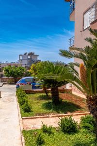a palm tree in front of a building at Villa Hamza Ksamil in Ksamil