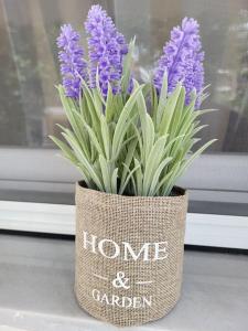 a vase filled with purple flowers in a window at Ολοκαίνουρια Iosif's residence in Perea
