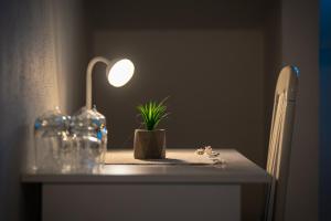 a table with a plant and a lamp on it at Bed & Breakfast Blanc in Pučišća